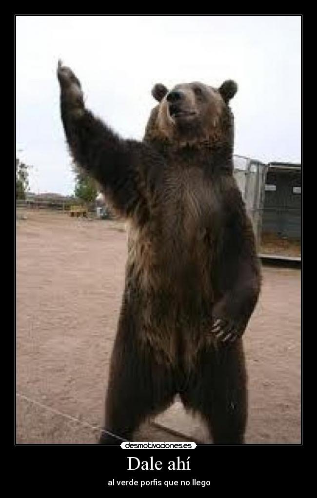 Dale ahí - al verde porfis que no llego