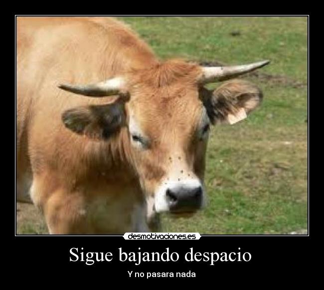 Sigue bajando despacio  - 