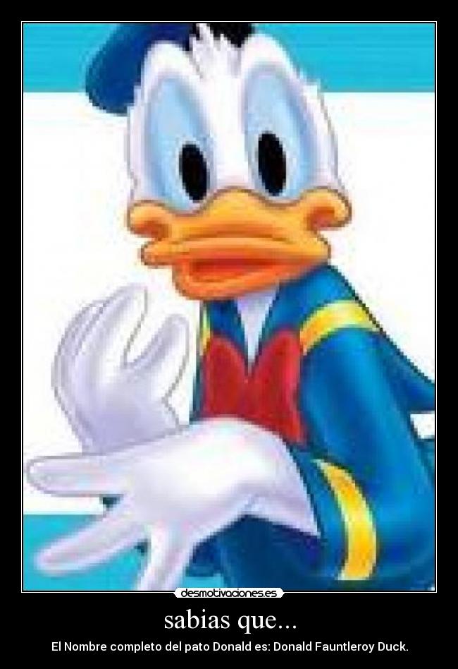 sabias que... - El Nombre completo del pato Donald es: Donald Fauntleroy Duck.