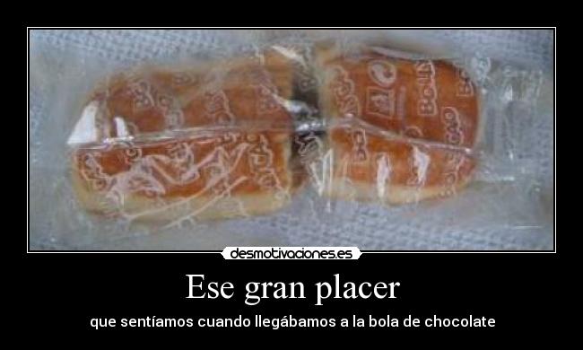 Ese gran placer - 