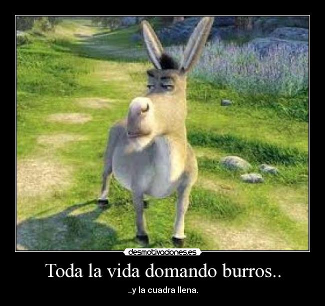Toda la vida domando burros.. -