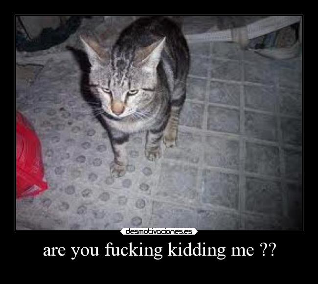 are you fucking kidding me ?? - 