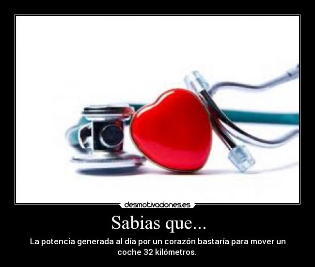 Sabias que... - La potencia generada al día por un corazón bastaría para mover un
coche 32 kilómetros.