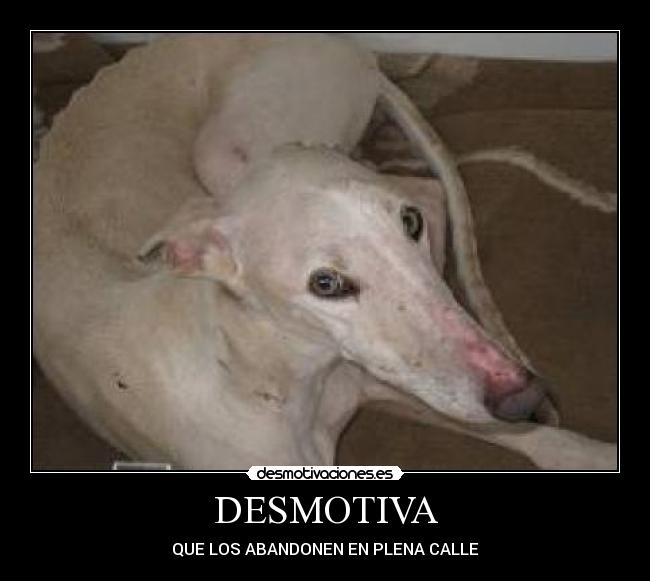 DESMOTIVA - 