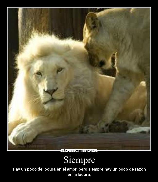 Siempre - Hay un poco de locura en el amor, pero siempre hay un poco de razón en la locura.