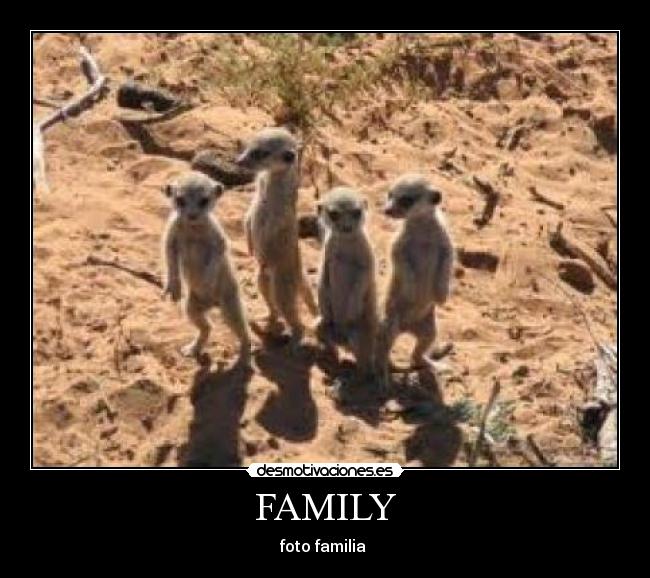 FAMILY - foto familia
