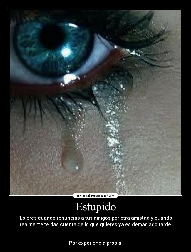Estupido - Lo eres cuando renuncias a tus amigos por otra amistad y cuando
realmente te das cuenta de lo que quieres ya es demasiado tarde.
Por experiencia propia.