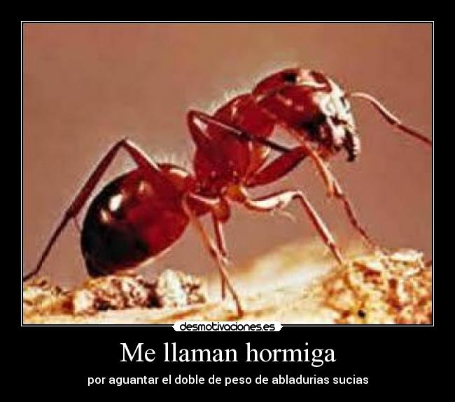 Me llaman hormiga - por aguantar el doble de peso de abladurias sucias
