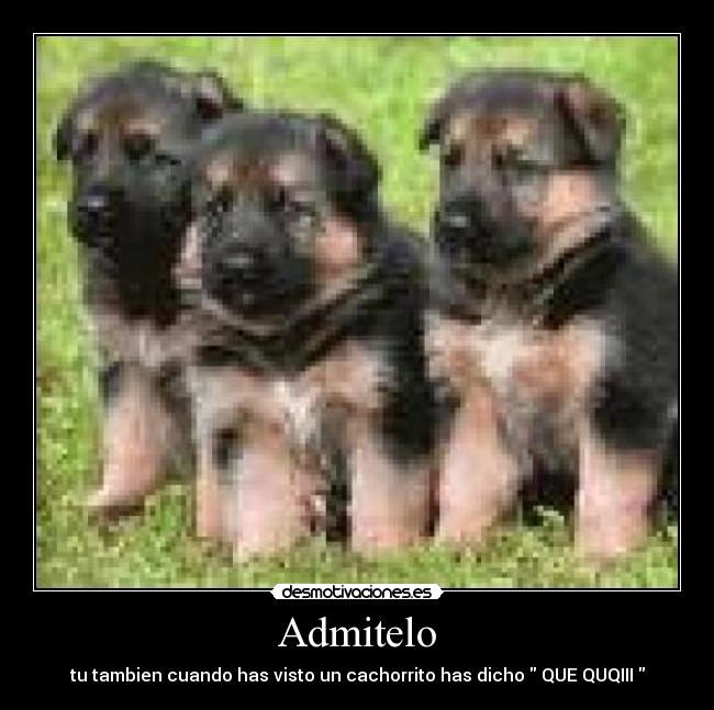 Admitelo - 