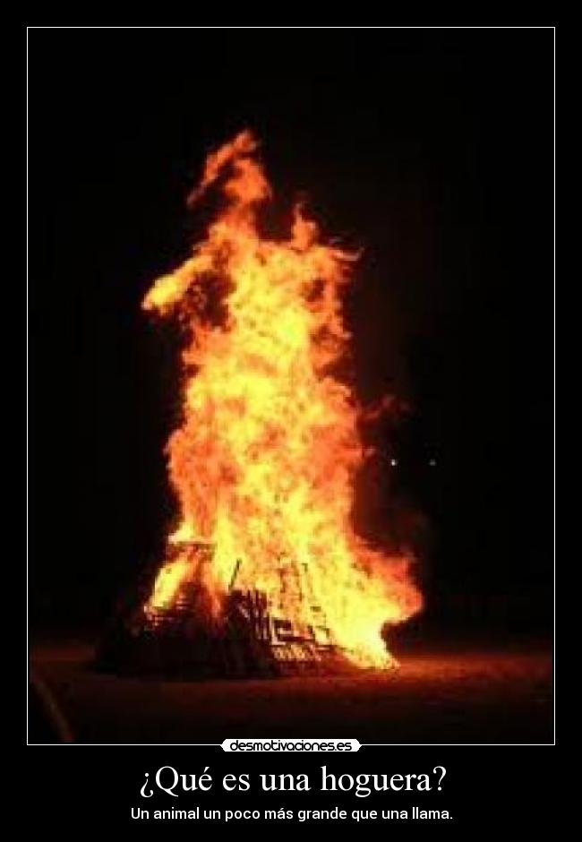 ¿Qué es una hoguera? - Un animal un poco más grande que una llama.