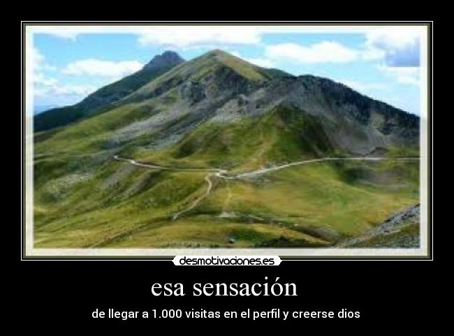 esa sensación  - de llegar a 1.000 visitas en el perfil y creerse dios 