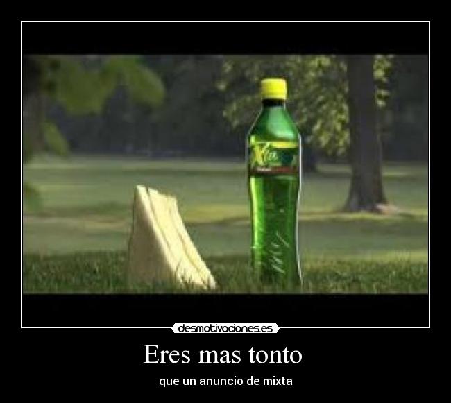 Eres mas tonto - que un anuncio de mixta