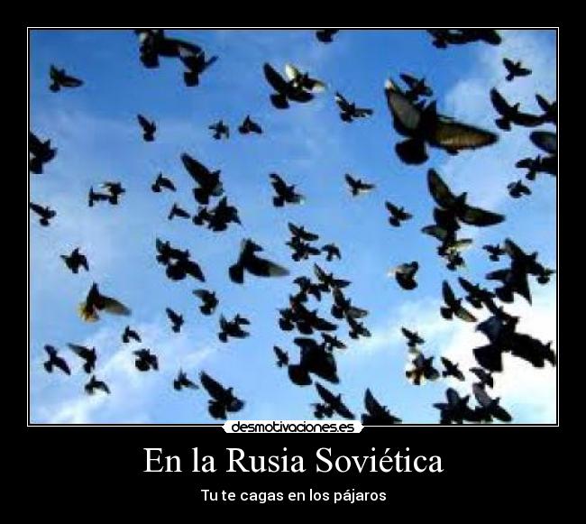 En la Rusia Soviética - Tu te cagas en los pájaros