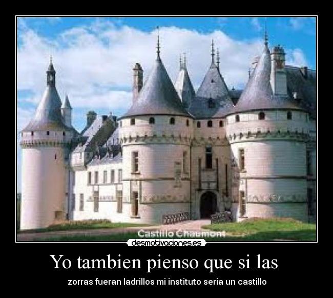 Yo tambien pienso que si las -