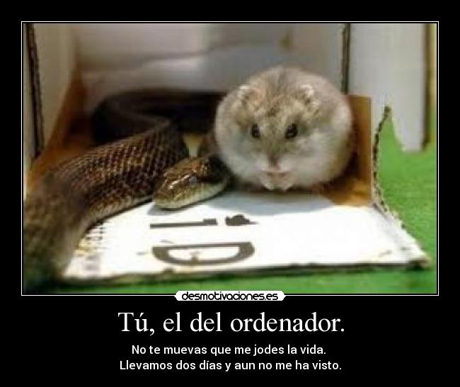 Tú, el del ordenador. - 