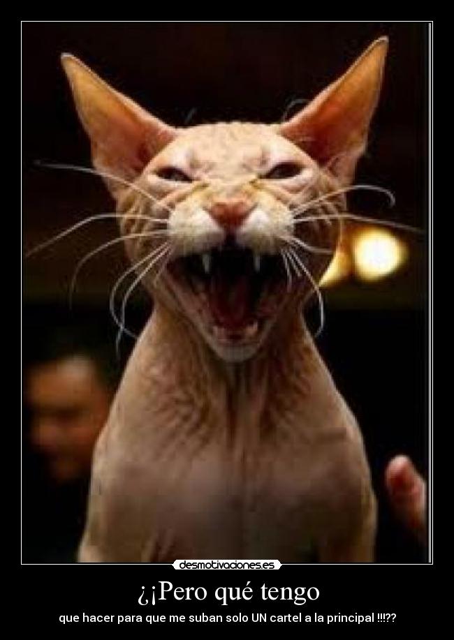 carteles que son las puneteras etiquetas desmotivaciones