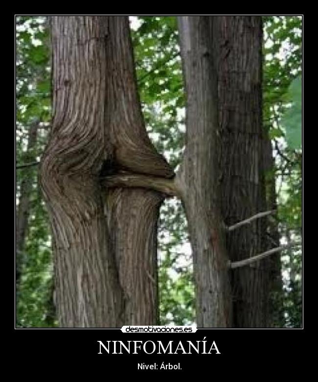 NINFOMANÍA - Nivel: Árbol.