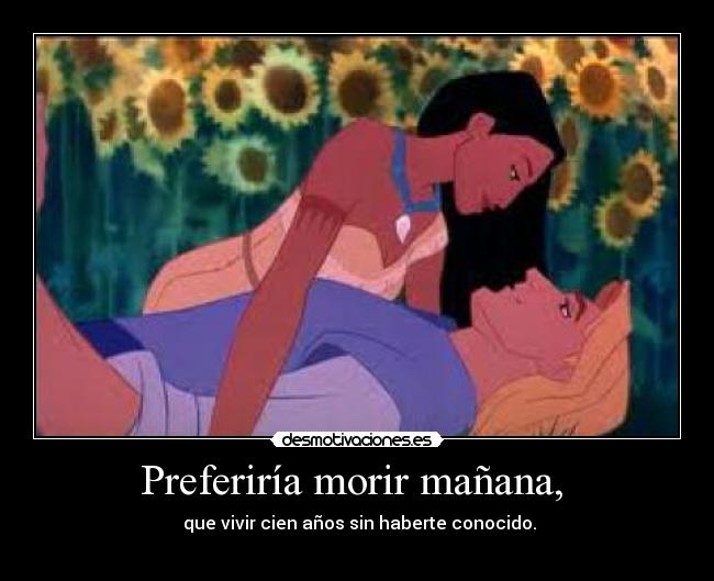 carteles pocahontas desmotivaciones