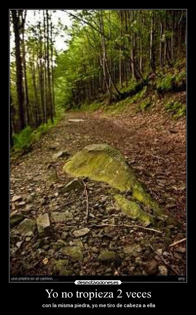 carteles piedra desmotivaciones