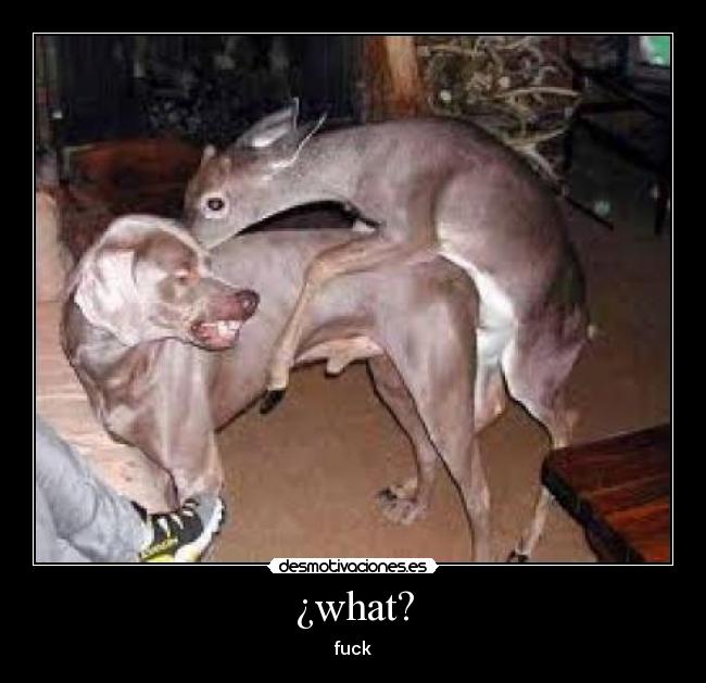 ¿what? - fuck