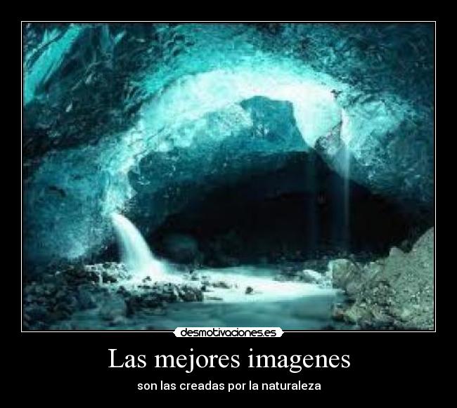 Las mejores imagenes - 