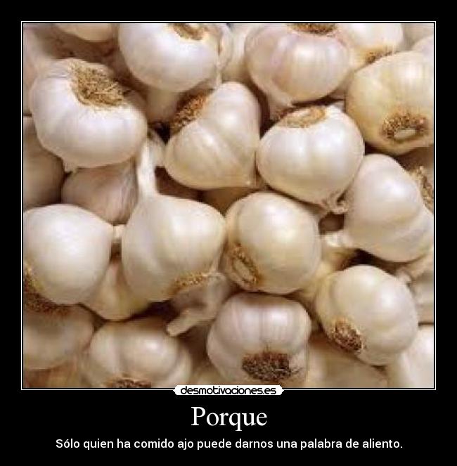 Porque -