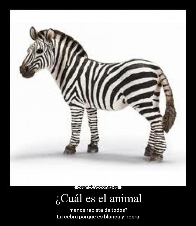 ¿Cuál es el animal -