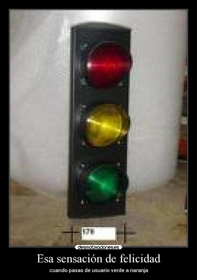 Esa sensación de felicidad -