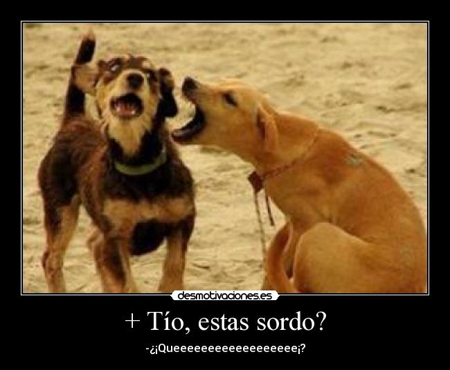 + Tío, estas sordo? -