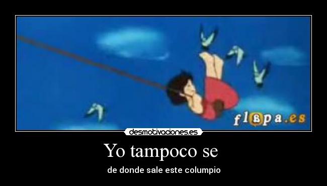 Yo tampoco se -