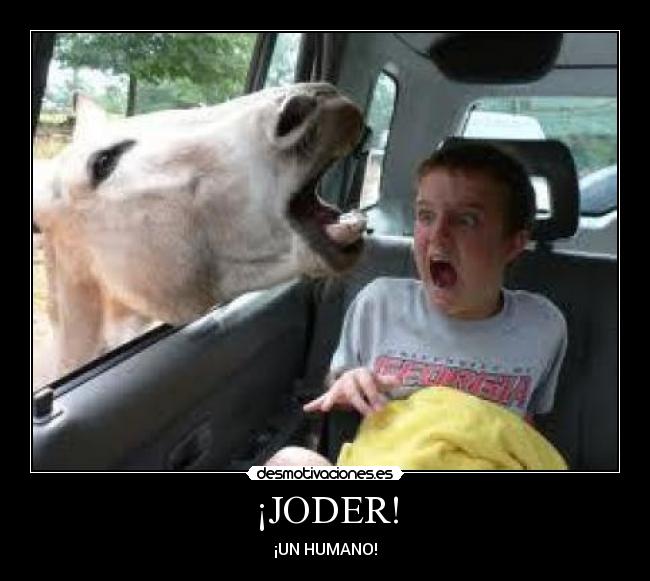 carteles joder desmotivaciones