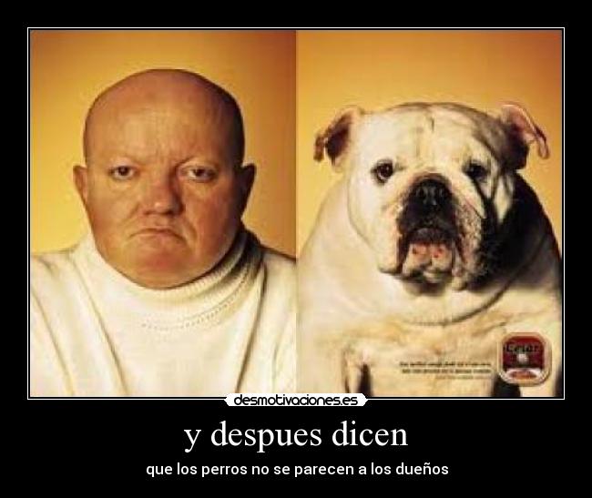 y despues dicen - que los perros no se parecen a los dueños