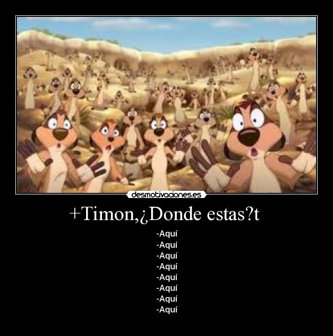 +Timon,¿Donde estas?t - -Aquí
-Aquí
-Aquí
-Aquí
-Aquí
-Aquí
-Aquí
-Aquí