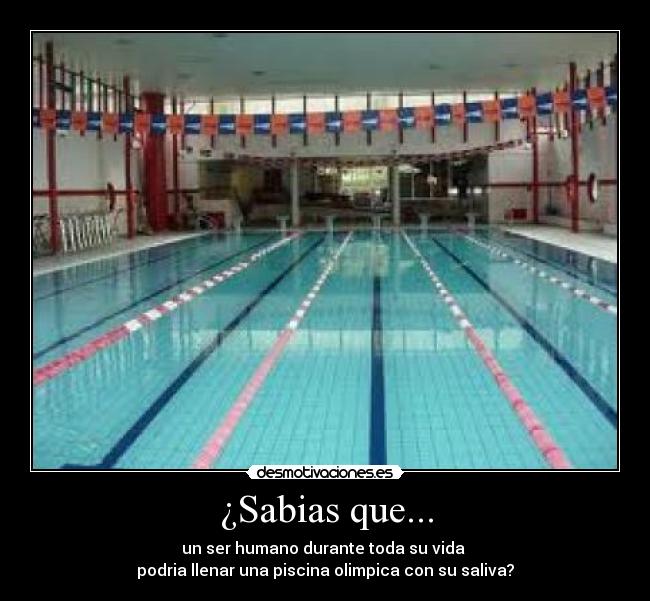 ¿Sabias que... - 