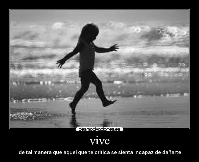 vive - 