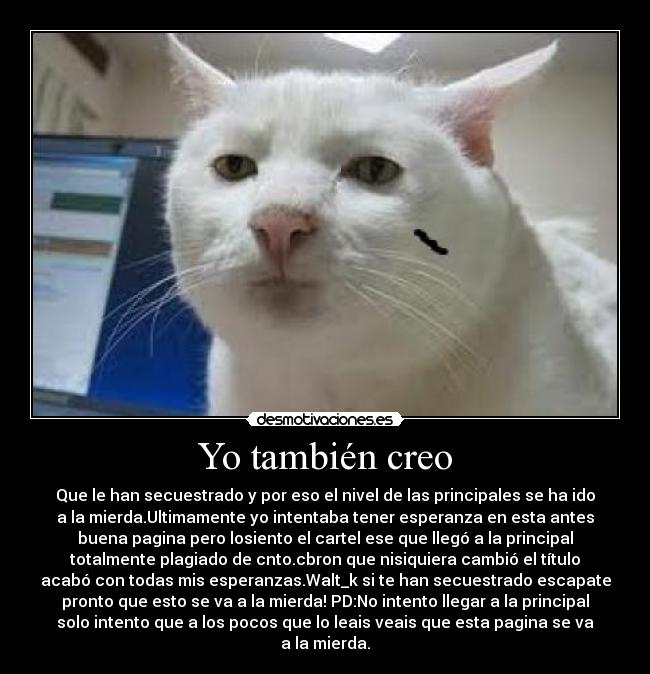 Yo también creo - 