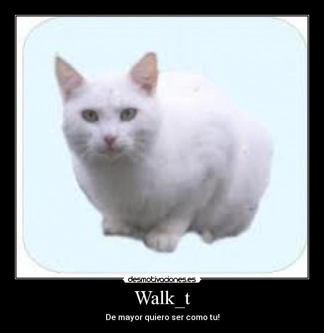 Walk_t -