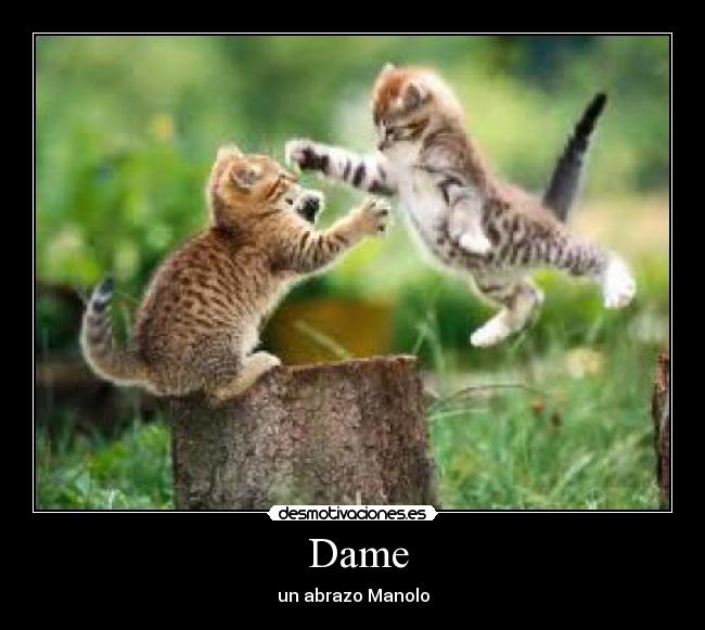 Dame -