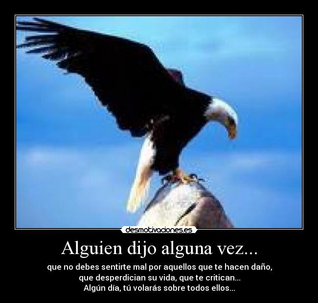 Alguien dijo alguna vez... - que no debes sentirte mal por aquellos que te hacen daño,
que desperdician su vida, que te critican...
Algún día, tú volarás sobre todos ellos...