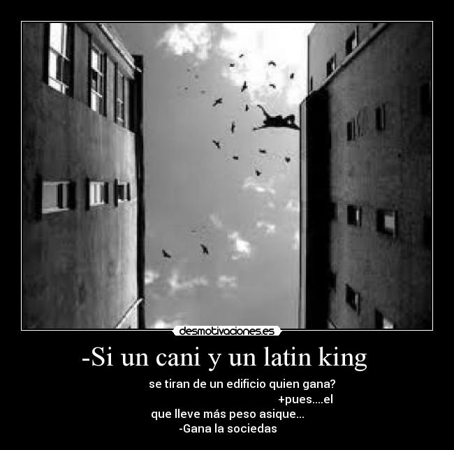 -Si un cani y un latin king -