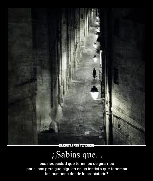 carteles wesi_69 desmotivaciones