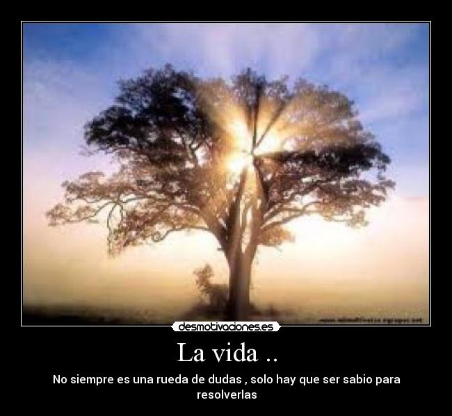 La vida .. - 