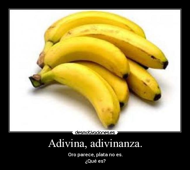 Adivina, adivinanza. - Oro parece, plata no es.
¿Qué es?