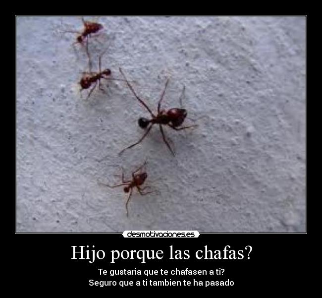 carteles wesi_69 desmotivaciones