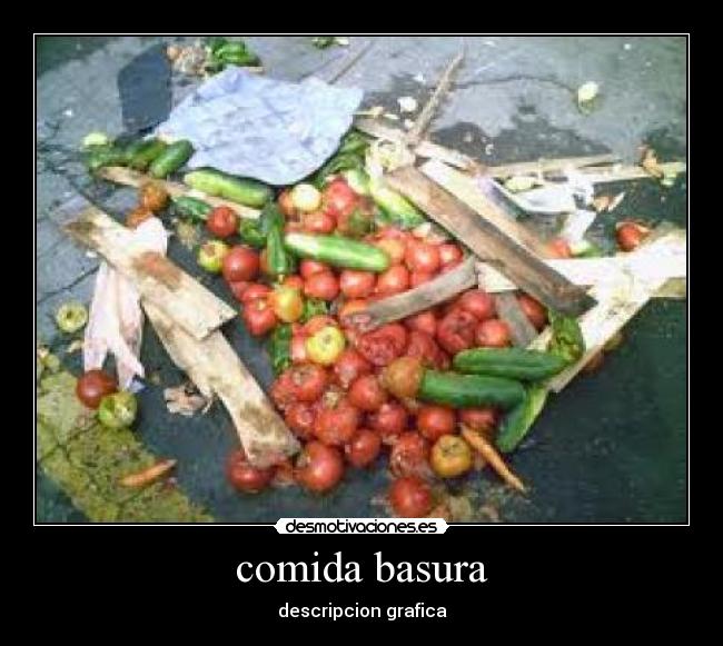 comida basura - descripcion grafica