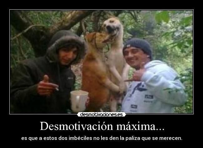 Desmotivación máxima... - es que a estos dos imbéciles no les den la paliza que se merecen.