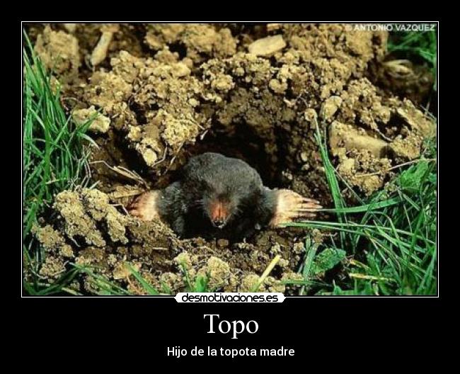Topo - Hijo de la topota madre