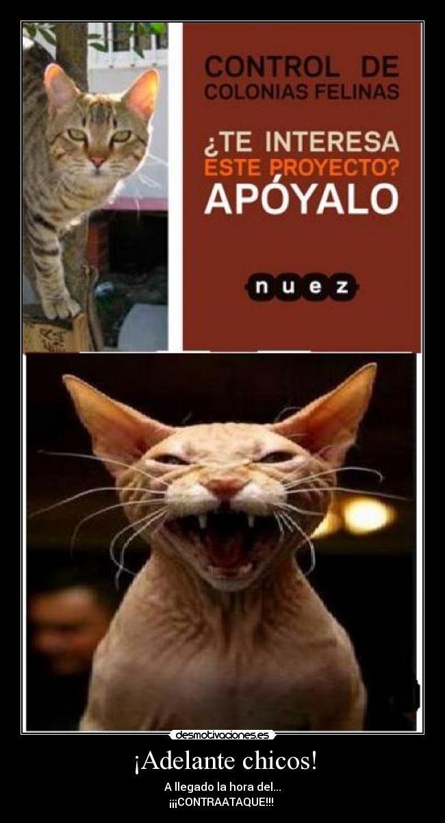 ¡Adelante chicos! - A llegado la hora del...
¡¡¡CONTRAATAQUE!!!