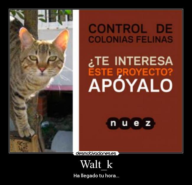 Walt_k -
