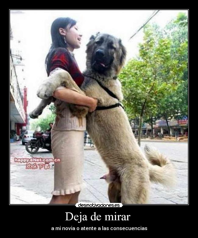 Deja de mirar  - a mi novia o atente a las consecuencias